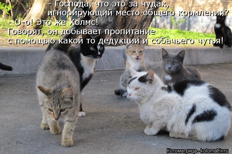 - О-о! Это же Холмс! Говорят, он добывает пропитание с помощью какой то дедукции и собачьего чутья!... Котоматрица: - О-о! Это же Холмс! Говорят, он добывает пропитание с помощью какой то дедукции и собачьего чутья! - Господа, что это за чудак, игнорирующий
