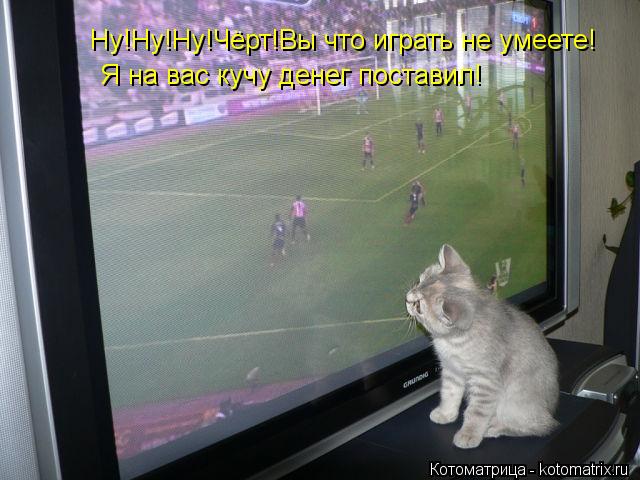 Ну!Ну!Ну!Чёрт!Вы что играть не умеете! Я на вас кучу денег поставил!... Котоматрица: Ну!Ну!Ну!Чёрт!Вы что играть не умеете! Я на вас кучу денег поставил!