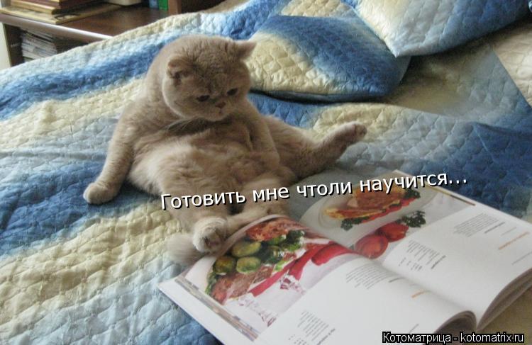 Готовить мне чтоли научится...... Котоматрица: Готовить мне чтоли научится...