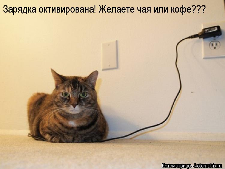 Зарядка октивирована! Желаете чая или кофе???... Котоматрица: Зарядка октивирована! Желаете чая или кофе???