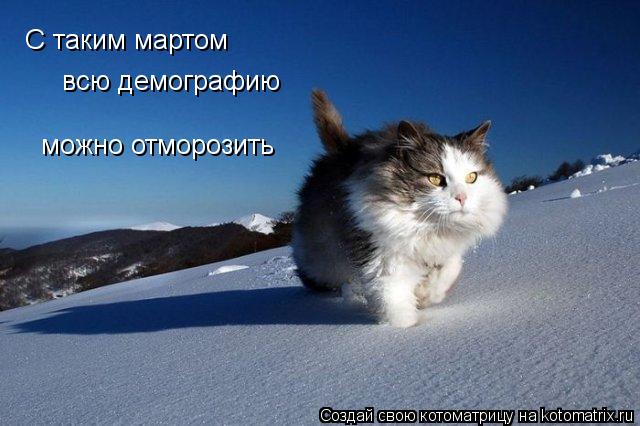 C таким мартом всю демографию можно отморозить... Котоматрица: C таким мартом всю демографию можно отморозить