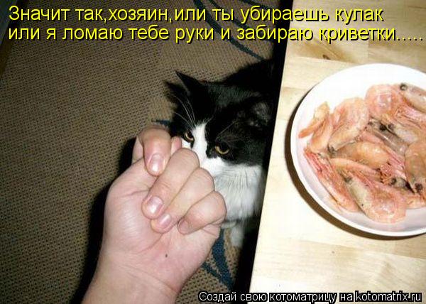 Значит так,хозяин,или ты убираешь кулак или я ломаю тебе руки и забираю криветки........ Котоматрица: Значит так,хозяин,или ты убираешь кулак или я ломаю тебе руки и забираю криветки.....