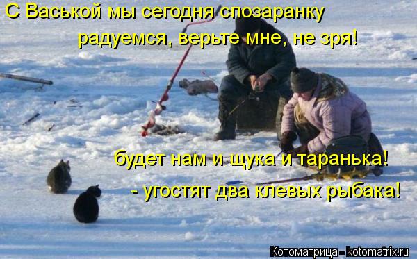 Котоматрица: С Васькой мы сегодня спозаранку радуемся, верьте мне, не зря! будет нам и щука и таранька! - угостят два клевых рыбака!