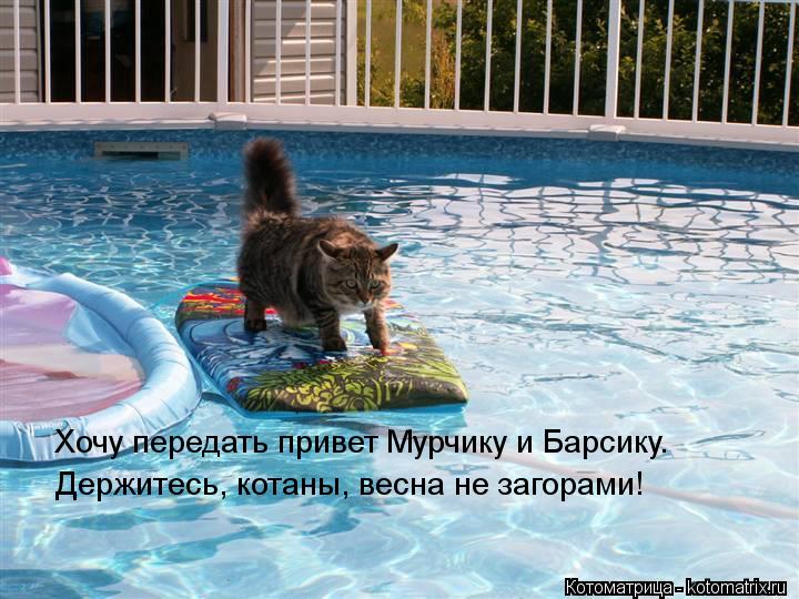 Хочу передать привет Мурчику и Барсику. Держитесь, котаны, весна не загорами!... Котоматрица: Хочу передать привет Мурчику и Барсику. Держитесь, котаны, весна не загорами!