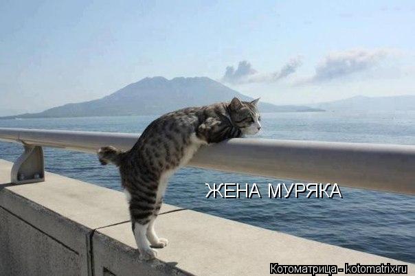 ЖЕНА МУРЯКА... Котоматрица: ЖЕНА МУРЯКА
