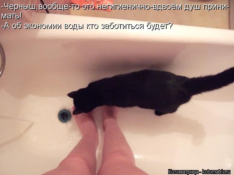 -Черныш,вообще-то это негигиенично-вдвоём душ прини- мать! -А об экономии воды кто заботиться будет?... Котоматрица: -Черныш,вообще-то это негигиенично-вдвоём душ прини- мать! -А об экономии воды кто заботиться будет?