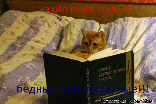 нашёл книгу студента бедные они животные!!!... Котоматрица: нашёл книгу студента бедные они животные!!!