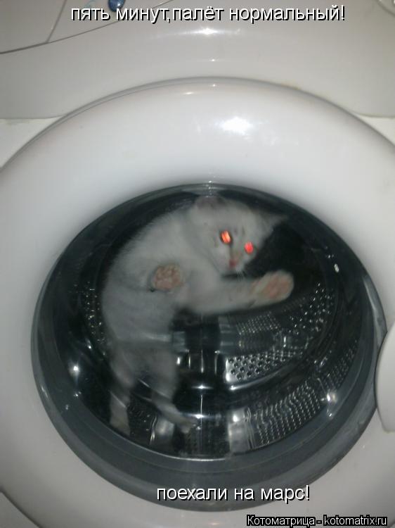 пять минут,палёт нормальный! поехали на марс!... Котоматрица: пять минут,палёт нормальный! поехали на марс!