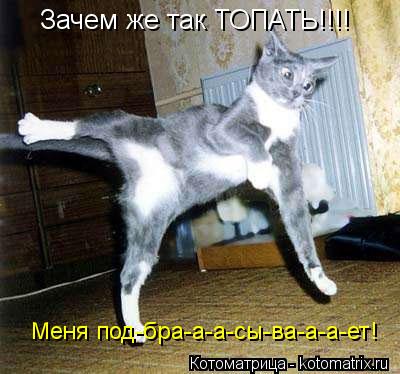 Зачем же так ТОПАТЬ!!!! Меня под-бра-а-а-сы-ва-а-а-ет!... Котоматрица: Зачем же так ТОПАТЬ!!!! Меня под-бра-а-а-сы-ва-а-а-ет!