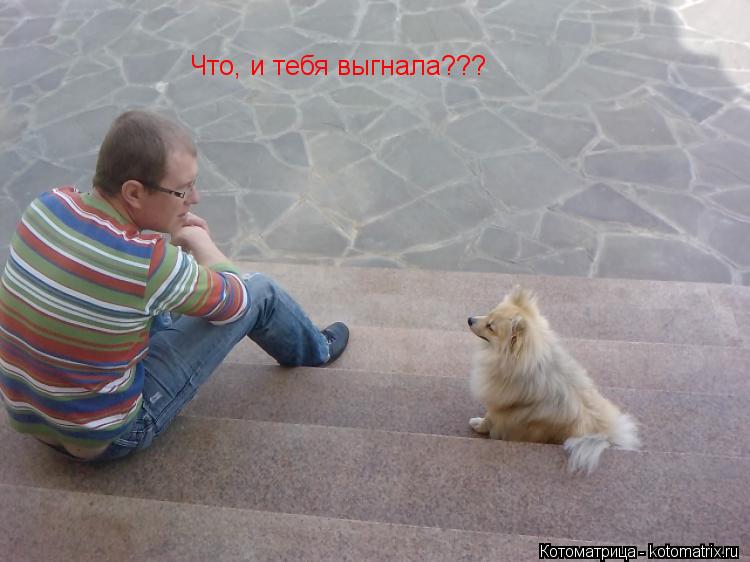 Что, и тебя выгнала???... Котоматрица: Что, и тебя выгнала???