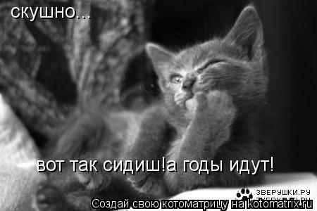 скушно... вот так сидиш!а годы идут!... Котоматрица: скушно... вот так сидиш!а годы идут!