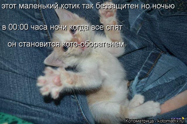 этот маленький котик так беззащитен но ночью в 00:00 часа ночи когда все спят он становится кото-обор... Котоматрица: этот маленький котик так беззащитен но ночью в 00:00 часа ночи когда все спят он становится кото-оборатенём в 00:00 часа ночи когда все спят