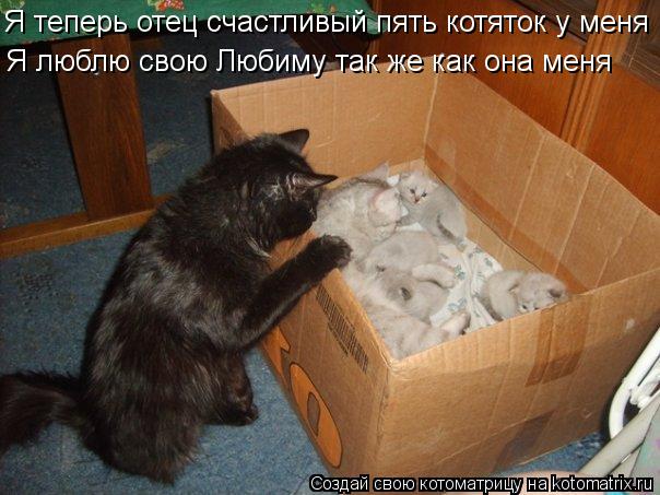 Я теперь отец счастливый пять котяток у меня Я люблю свою Любиму так же как она меня... Котоматрица: Я теперь отец счастливый пять котяток у меня Я люблю свою Любиму так же как она меня