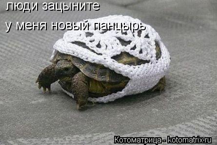 люди зацыните у меня новый панцырь... Котоматрица: люди зацыните у меня новый панцырь