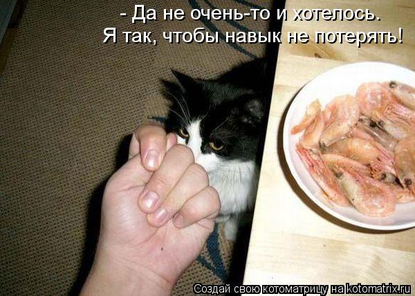 - Да не очень-то и хотелось. Я так, чтобы навык не потерять!... Котоматрица: - Да не очень-то и хотелось. Я так, чтобы навык не потерять!
