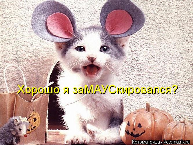 Хорошо я заМАУСкировался?... Котоматрица: Хорошо я заМАУСкировался?