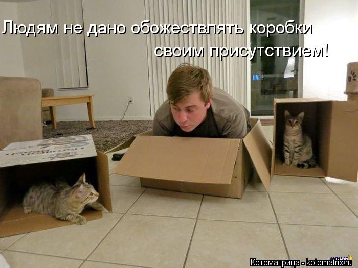 Людям не дано обожествлять коробки своим присутствием!... Котоматрица: Людям не дано обожествлять коробки своим присутствием!