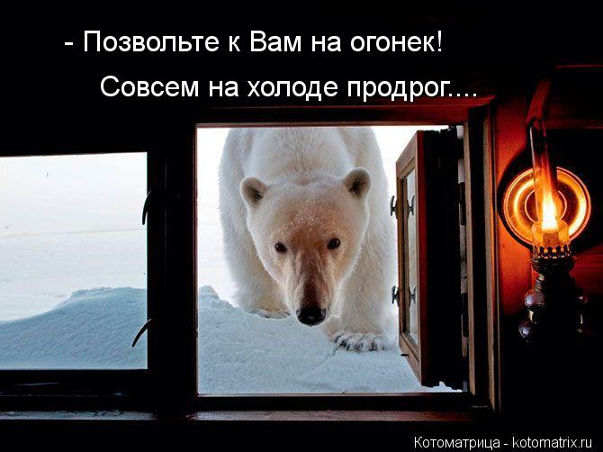 - Позвольте к Вам на огонек! Совсем на холоде продрог....... Котоматрица: - Позвольте к Вам на огонек! Совсем на холоде продрог....