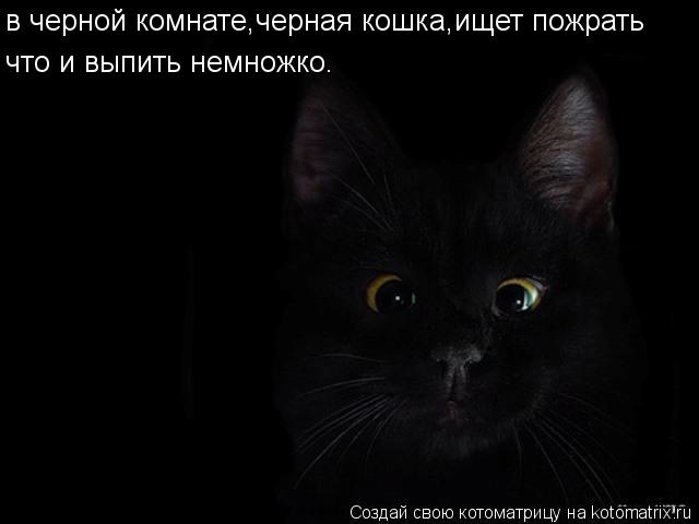 в черной комнате,черная кошка,ищет пожрать что и выпить немножко.... Котоматрица: в черной комнате,черная кошка,ищет пожрать что и выпить немножко.