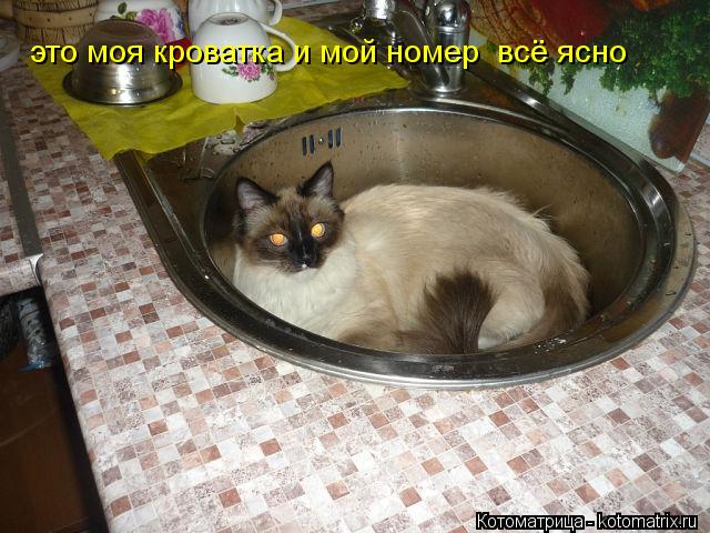 это моя кроватка и мой номер всё ясно... Котоматрица: это моя кроватка и мой номер всё ясно