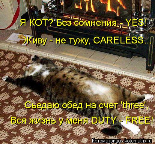 Я КОТ? Без сомнения - YES! Живу - не тужу, CARELESS... Сьедаю обeд на счет 'three', Вся жизнь у меня ... Котоматрица: Я КОТ? Без сомнения - YES! Живу - не тужу, CARELESS... Сьедаю обeд на счет 'three', Вся жизнь у меня DUTY - FREE!