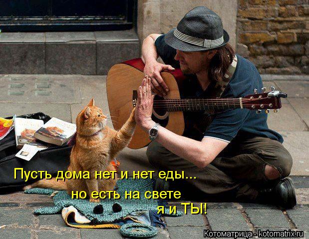 Пусть дома нет и нет еды... но есть на свете я и ТЫ!... Котоматрица: Пусть дома нет и нет еды... но есть на свете я и ТЫ!