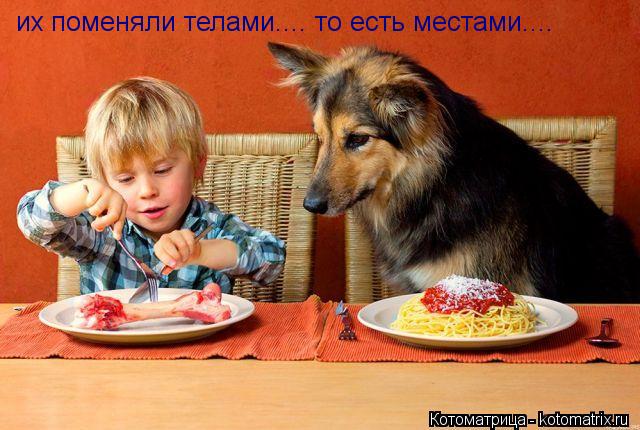 их поменяли телами.... то есть местами....... Котоматрица: их поменяли телами.... то есть местами....