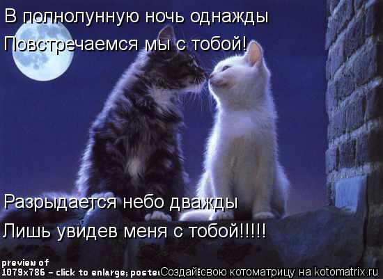 В полнолунную ночь однажды Разрыдается небо дважды Лишь увидев меня с тобой!!!!! Повстречаемся мы с т... Котоматрица: В полнолунную ночь однажды Разрыдается небо дважды Лишь увидев меня с тобой!!!!! Повстречаемся мы с тобой!