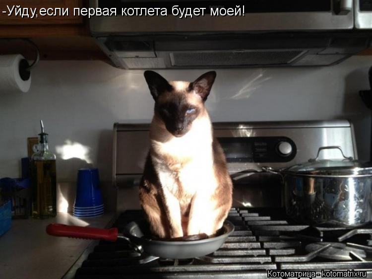-Уйду,если первая котлета будет моей!... Котоматрица: -Уйду,если первая котлета будет моей!