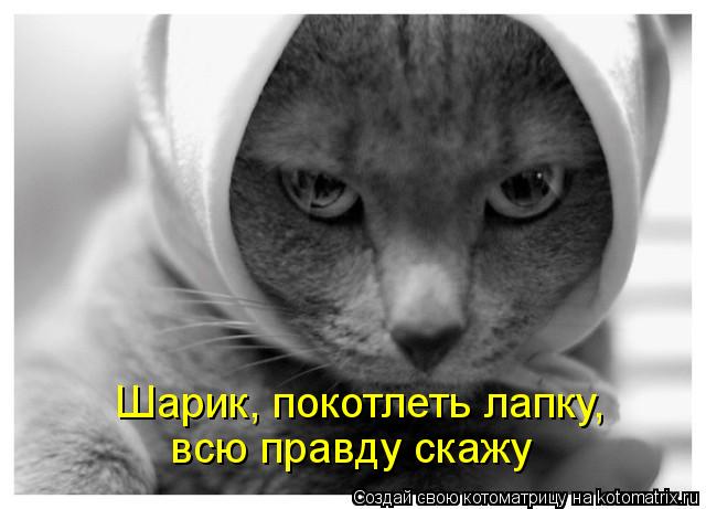Шарик, покотлеть лапку, всю правду скажу... Котоматрица: Шарик, покотлеть лапку, всю правду скажу