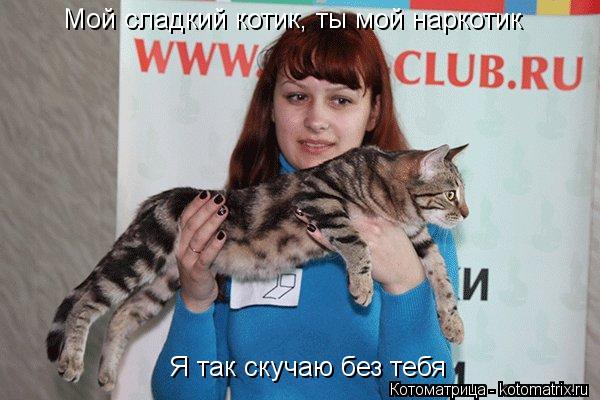 Мой сладкий котик, ты мой наркотик Я так скучаю без тебя... Котоматрица: Мой сладкий котик, ты мой наркотик Я так скучаю без тебя