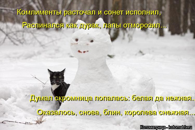 Комлименты расточал и сонет исполнил, Распинался как дурак, лапы отморозил... Думал скромница попалас... Котоматрица: Комлименты расточал и сонет исполнил, Распинался как дурак, лапы отморозил... Думал скромница попалась: белая да нежная... Оказалось, снова, б