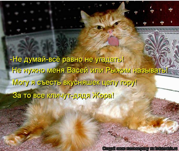 -Не думай-всё равно не угадать! Не нужно меня Васей или Рыжим называть! Могу я съесть вкусняшек целу ... Котоматрица: -Не думай-всё равно не угадать! Не нужно меня Васей или Рыжим называть! Могу я съесть вкусняшек целу гору! За то все кличут-дядя Жора!