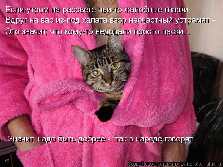 Если утром на рассвете чьи-то жалобные глазки Вдруг на вас из-под халата взор несчастный устремят - ... Котоматрица: Если утром на рассвете чьи-то жалобные глазки Вдруг на вас из-под халата взор несчастный устремят - Это значит, что кому-то недодали просто