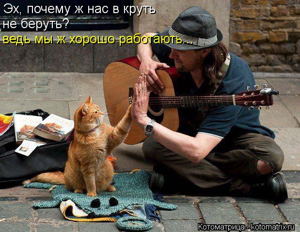 Эх, почему ж нас в круть не беруть? ведь мы ж хорошо работають...... Котоматрица: Эх, почему ж нас в круть не беруть? ведь мы ж хорошо работають...