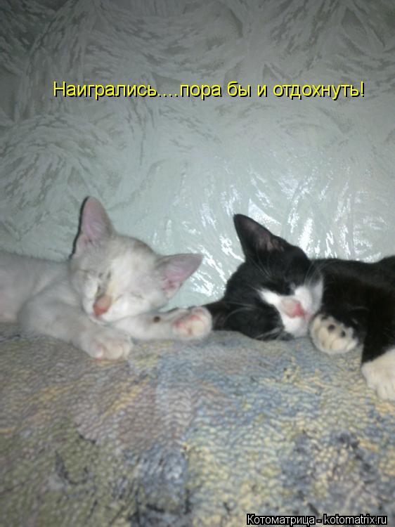 Котоматрица: Наигрались....пора бы и отдохнуть!