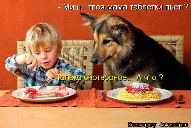 - Миш.. твоя мама таблетки пьет ? - Только снотворное... А что ?... Котоматрица: - Миш.. твоя мама таблетки пьет ? - Только снотворное... А что ?
