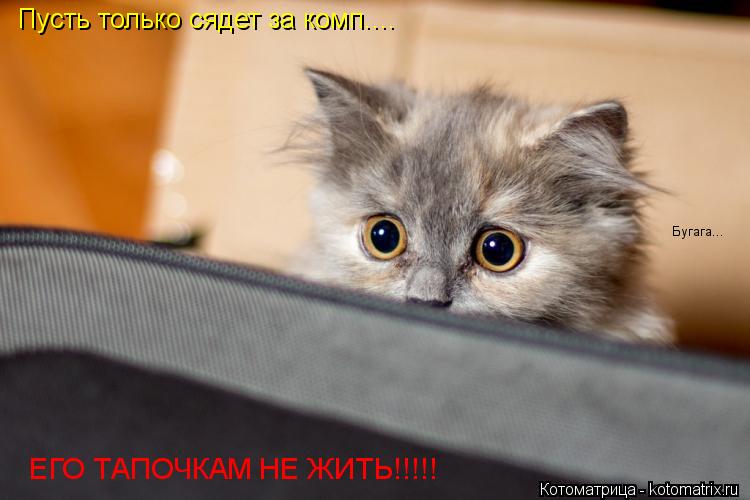 Пусть только сядет за комп.... ЕГО ТАПОЧКАМ НЕ ЖИТЬ!!!!! Бугага...... Котоматрица: Пусть только сядет за комп.... ЕГО ТАПОЧКАМ НЕ ЖИТЬ!!!!! Бугага...