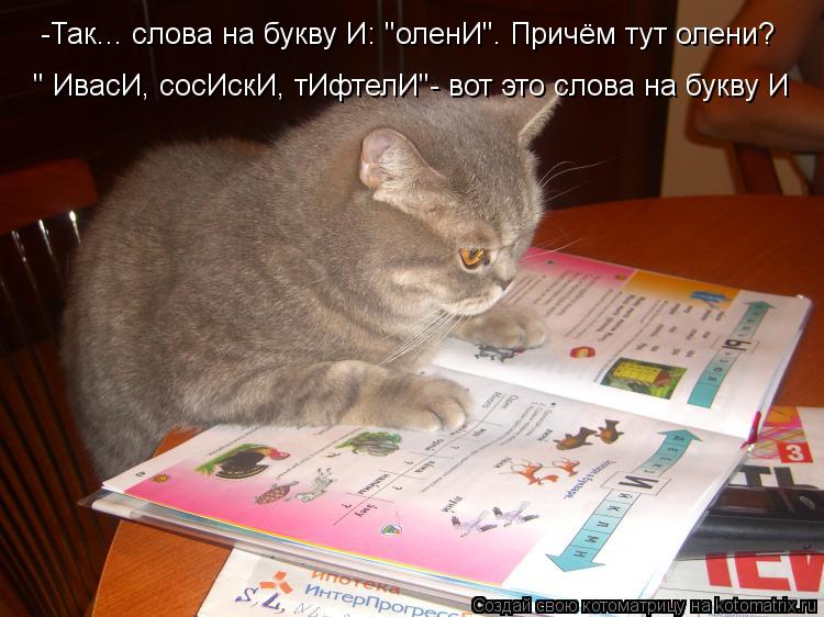 -Так... слова на букву И: "оленИ". Причём тут олени? " ИвасИ, сосИскИ, тИфтелИ"- вот это слова на бук... Котоматрица: -Так... слова на букву И: "оленИ". Причём тут олени? " ИвасИ, сосИскИ, тИфтелИ"- вот это слова на букву И