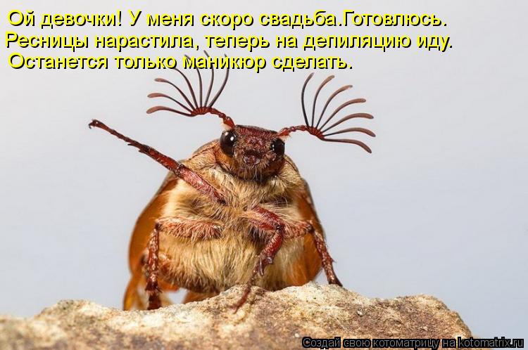 Ой девочки! У меня скоро свадьба.Готовлюсь. Ресницы нарастила, теперь на депиляцию иду. Останется тол... Котоматрица: Ой девочки! У меня скоро свадьба.Готовлюсь. Ресницы нарастила, теперь на депиляцию иду. Останется только маникюр сделать.