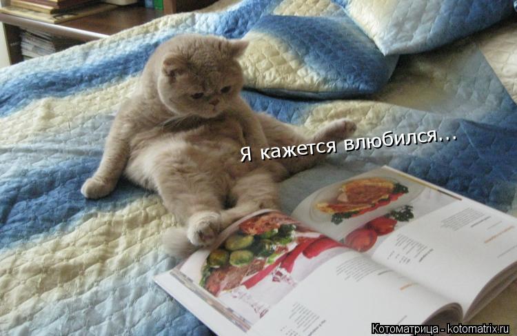 Я кажется влюбился...... Котоматрица: Я кажется влюбился...
