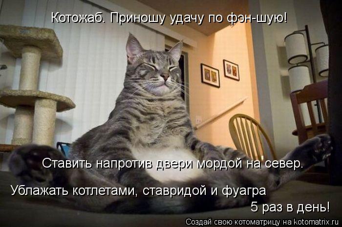 Котожаб. Приношу удачу по фэн-шую! Ставить напротив двери мордой на север. Ублажать котлетами, ставри... Котоматрица: Котожаб. Приношу удачу по фэн-шую! Ставить напротив двери мордой на север. Ублажать котлетами, ставридой и фуагра 5 раз в день!