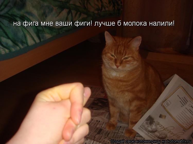 на фига мне ваши фиги! лучше б молока налили!... Котоматрица: на фига мне ваши фиги! лучше б молока налили!