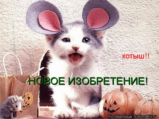 НОВОЕ ИЗОБРЕТЕНИЕ! котыш!!... Котоматрица: НОВОЕ ИЗОБРЕТЕНИЕ! котыш!!