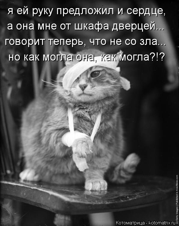 Котоматрица: я ей руку предложил и сердце, а она мне от шкафа дверцей... но как могла она, как могла?!? говорит теперь, что не со зла...
