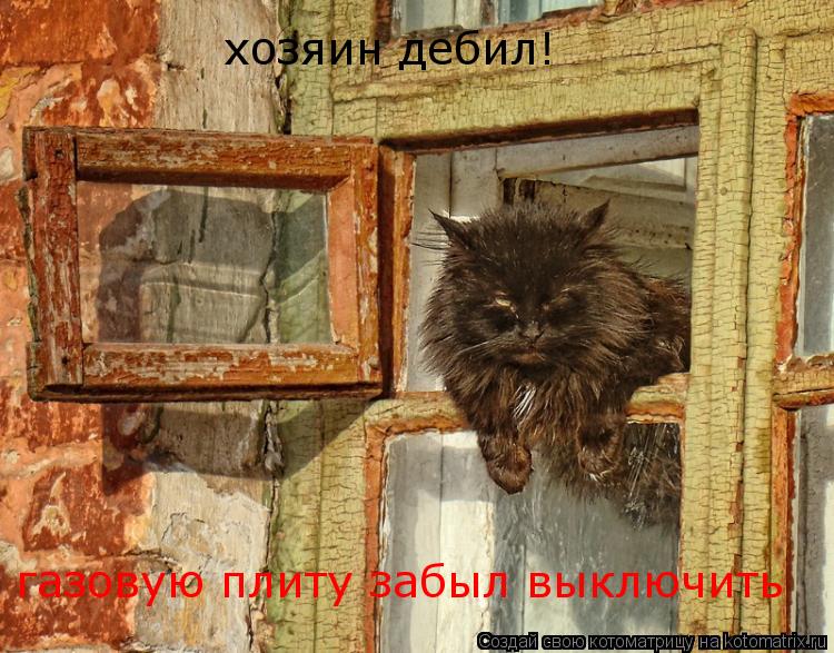 хозяин дебил! газовую плиту забыл выключить... Котоматрица: хозяин дебил! газовую плиту забыл выключить