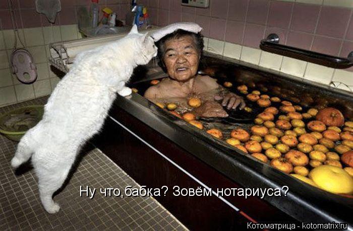 Ну что,бабка? Зовём нотариуса?... Котоматрица: Ну что,бабка? Зовём нотариуса?