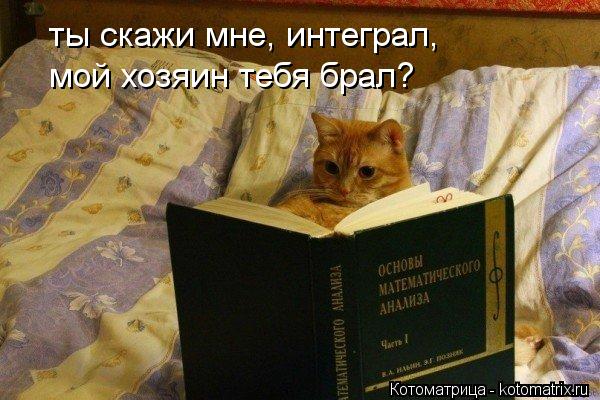 ты скажи мне, интеграл, мой хозяин тебя брал?... Котоматрица: ты скажи мне, интеграл, мой хозяин тебя брал?