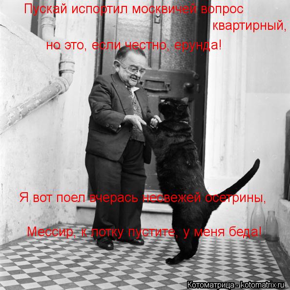 но это, если честно, ерунда! Пускай испортил москвичей вопрос квартирный, Я вот поел вчерась несвеже... Котоматрица: но это, если честно, ерунда! Пускай испортил москвичей вопрос квартирный, Я вот поел вчерась несвежей осетрины, Мессир, к лотку пустите, у ме