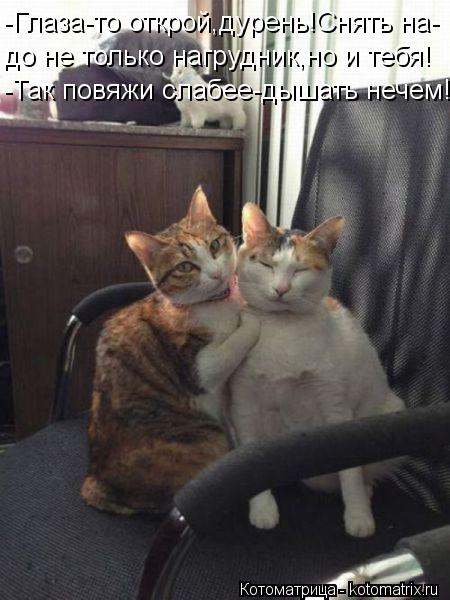 -Глаза-то открой,дурень!Снять на- до не только нагрудник,но и тебя! -Так повяжи слабее-дышать нечем!... Котоматрица: -Глаза-то открой,дурень!Снять на- до не только нагрудник,но и тебя! -Так повяжи слабее-дышать нечем!